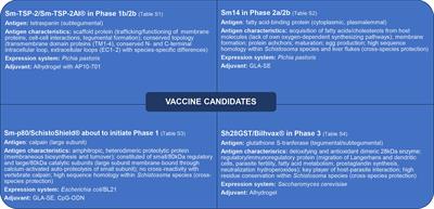 Recent Advances and Methodological Considerations on Vaccine Candidates for Human Schistosomiasis